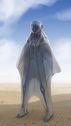wingsuit_A.jpg